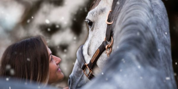 IMG_0728-Bearbeitet-winter-2