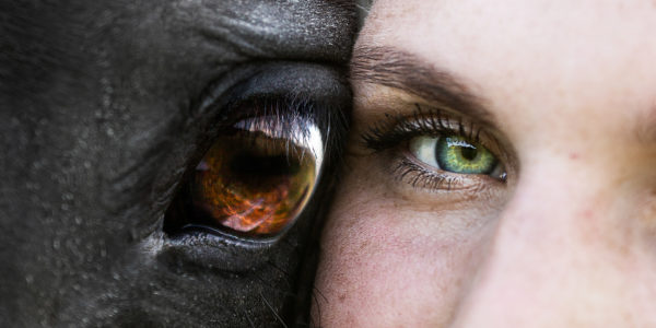 IMG_1013-Bearbeitet-2