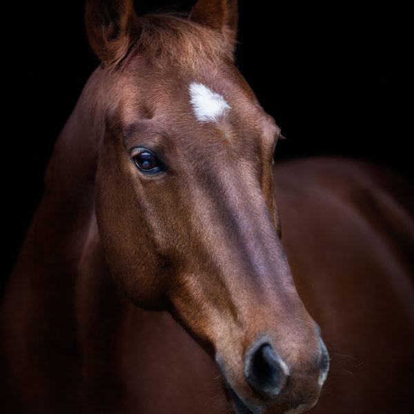 IMG_3834-Bearbeitet-Signature