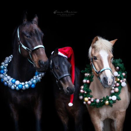 IMG_4900-Bearbeitet-Signature