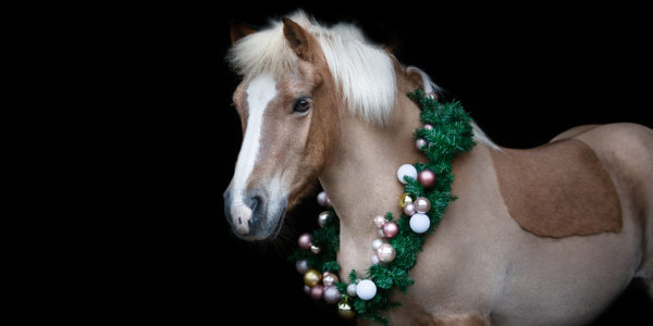 IMG_4952-Bearbeitet-Signature