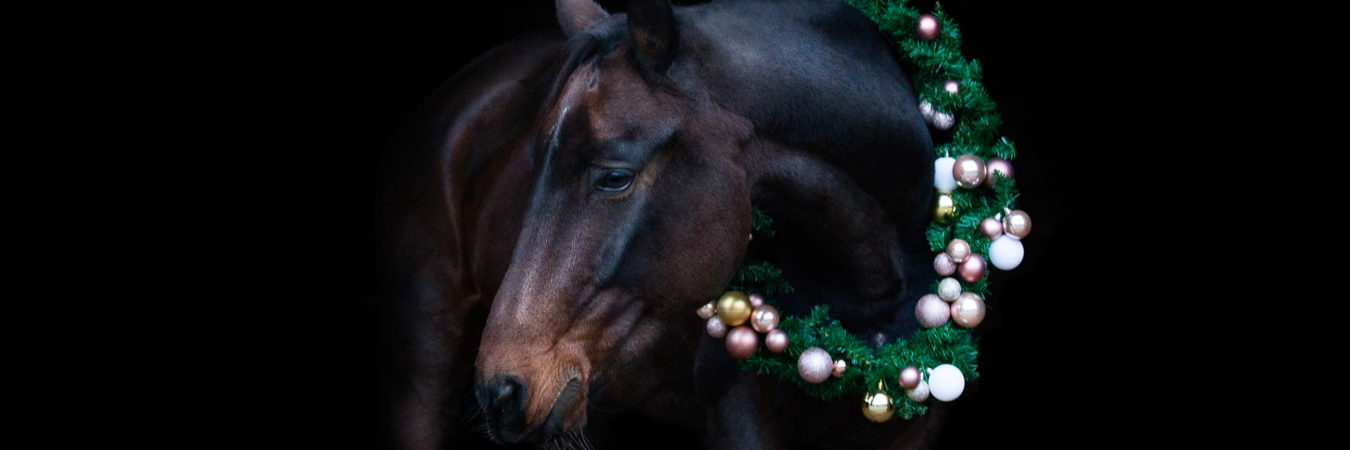 IMG_5024-Bearbeitet-Signature