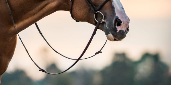 IMG_8808-Bearbeitet-Signature